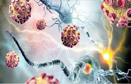 طراحی نانو دارو جهت درمان تومور مغزی با استفاده از ترکیبات زردچوبه