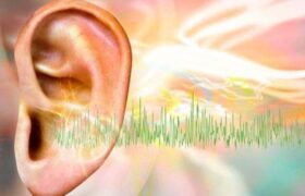دستاورد جدید محققان در درمان “تنیتوس”؛ معرفی داروی جدید از جفت انسان برای درمان وزوز گوش/بهبود آستانه شنوایی در بیماران کم‌شنوا